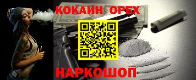 спайс Кингисепп