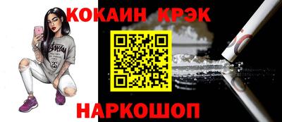 спайс Кингисепп