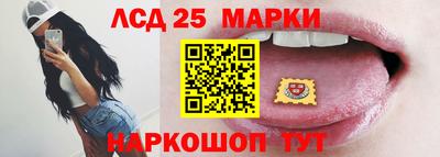 спайс Кингисепп