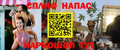 спайс Кингисепп
