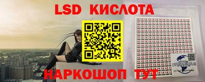 спайс Кингисепп
