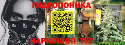 спайс Кингисепп