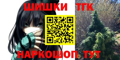 спайс Кингисепп
