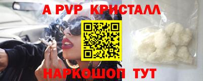 спайс Кингисепп